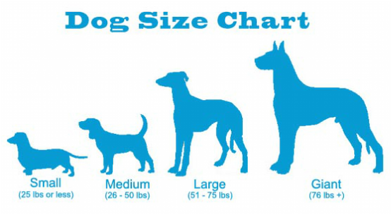 Dog size chart 2